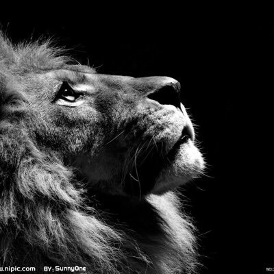 xavierlwj1's profile picture. 