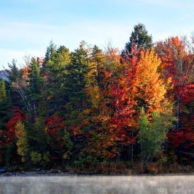 norway520's profile picture. 