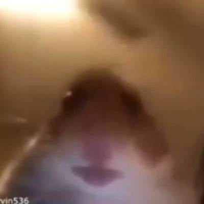 Crepyさんのプロフィール画像