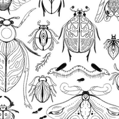 finnickyart's profile picture. Backup account while my main is bugged out ;) he/they, 21