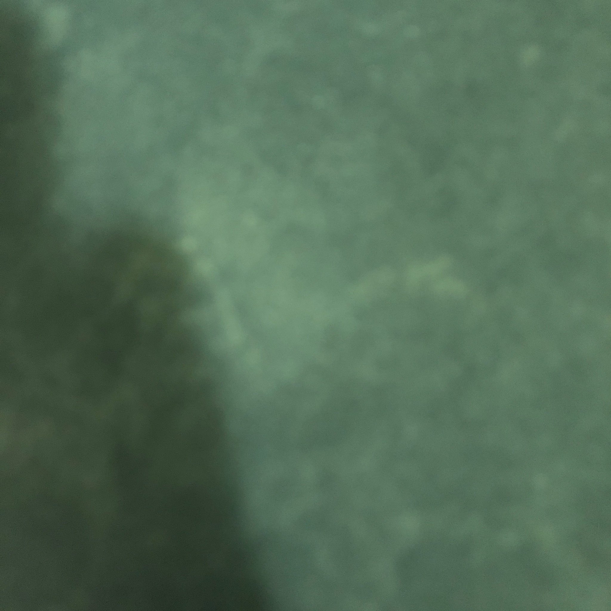 dawoudalkandri's profile picture. طاعة الله و حسن الخلق و رسم البسمه في وجوه الناس