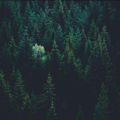 CryptoCoder's profile picture. Bitcoin maximalist since exploring it in 2013.