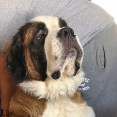 Jackie76054260's profile picture. ...