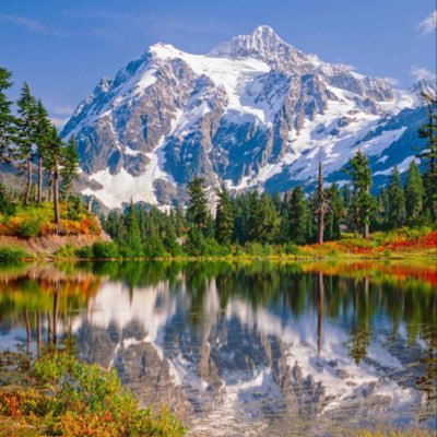 CsyYb5's profile picture. 