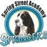 Spring Street Academy