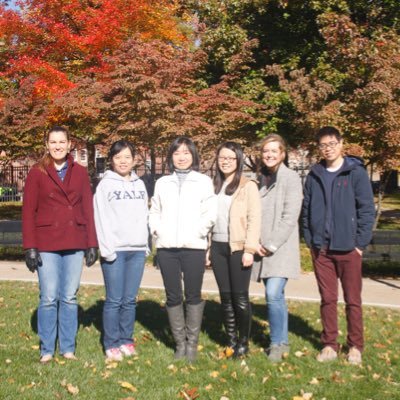 Led by Shangqin Guo, PhD. Our goal is to deduce the rules of cell fate control through our scientific research. Check out our website for more info! 🧫 🧬 🔬