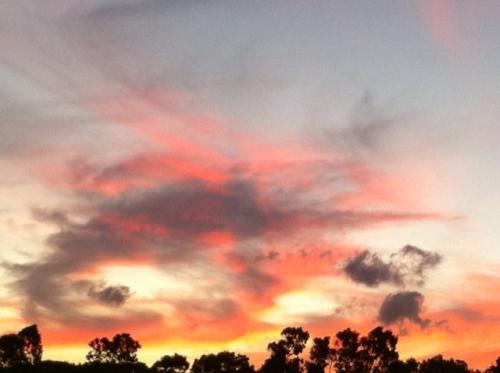 コンサルから事業会社へ。医療/経営/経済/マーケティング/リサーチ/新事業/ネット/ゴルフ/笑い・ネタを中心に。