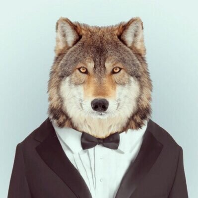 ma__sc's profile picture. 33/IT staff