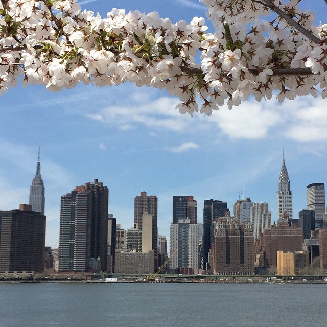 Elizabetnyc's profile picture. Amo viajar