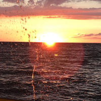 Lake_Ontario_Views(@LakeOntarioPics) 's Twitter Profile Photo