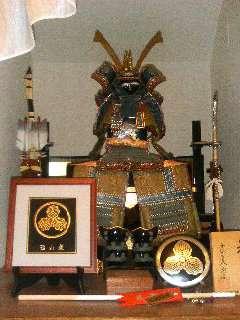 飞鸟vpn加速器，注册送免费时长