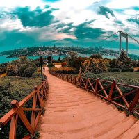 Selim devres (@selimdevres) 's Twitter Profile