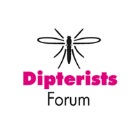 Dipterists Forum(@DipteristsForum) 's Twitter Profileg
