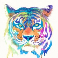Carroll Art Club (@clubcarroll) 's Twitter Profile