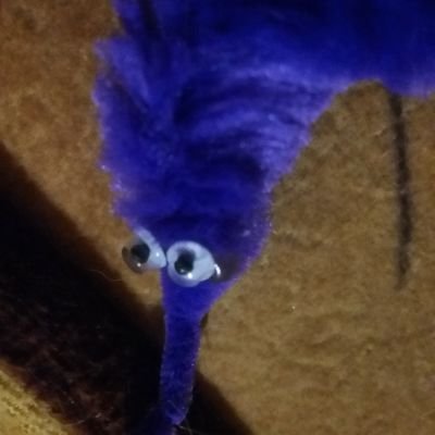 rvreziploc's profile picture. 