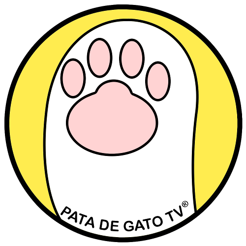 PataDeGatoTV Profile Picture