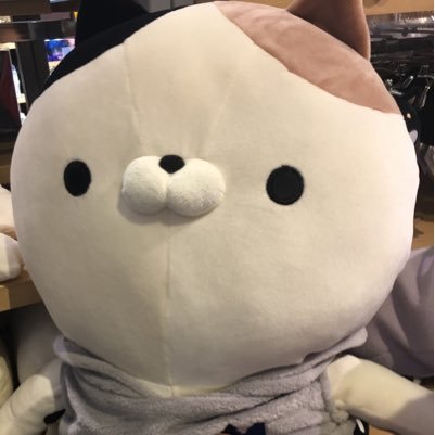 sapi_reina's profile picture. かんごし