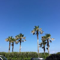 P (@ppk123ppk123) 's Twitter Profile Photo P (@ppk123ppk123) 's Twitter Profile Photo