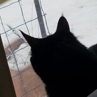 SCB (@scb10bo) 's Twitter Profile