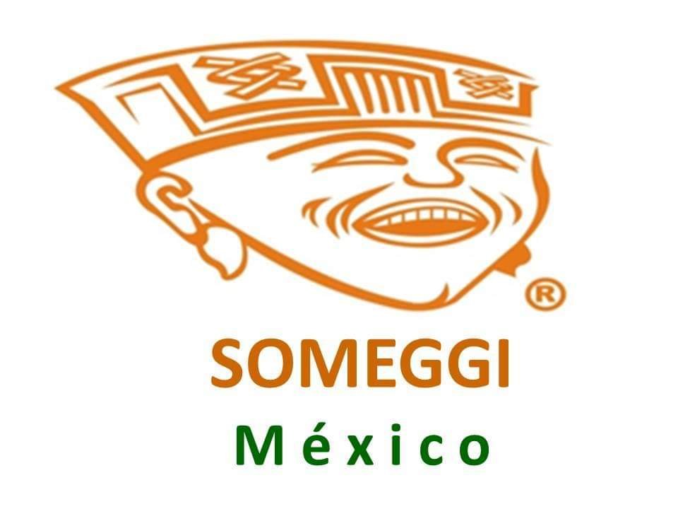 Médico Geriátra & Gerontológo
SOCIEDAD MEXICANA DE GERONTON-GERIATRIA A.C.
someggi@aol.com
Creada para la promoción de la salud en la persona envejeciente.