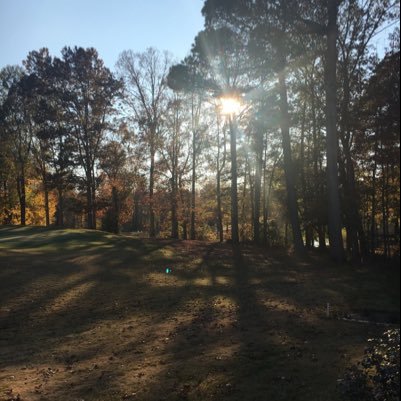 TboyleB's profile picture. 