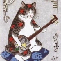 AllanChai3's profile picture. whatever