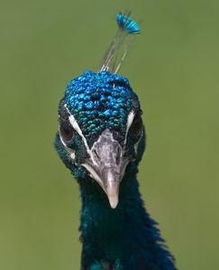 MTrMann's profile picture. 