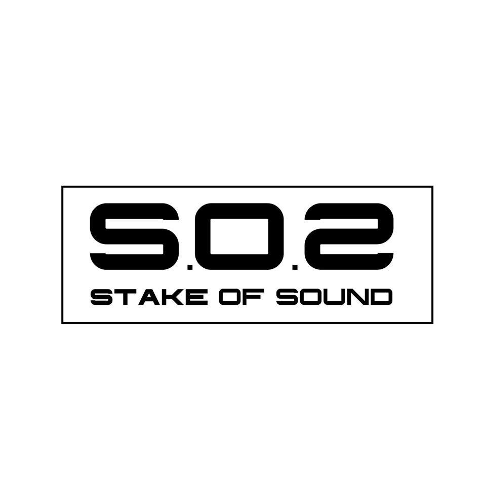 A collective stake of unforgettable EDM experiences combined into one energy to bring back the scene's dance music madness! This is Stake of Sound.