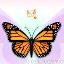 Lisa Dann - @lisacdann - Twitter