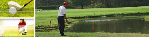 All about helping your golf game and your golf swang