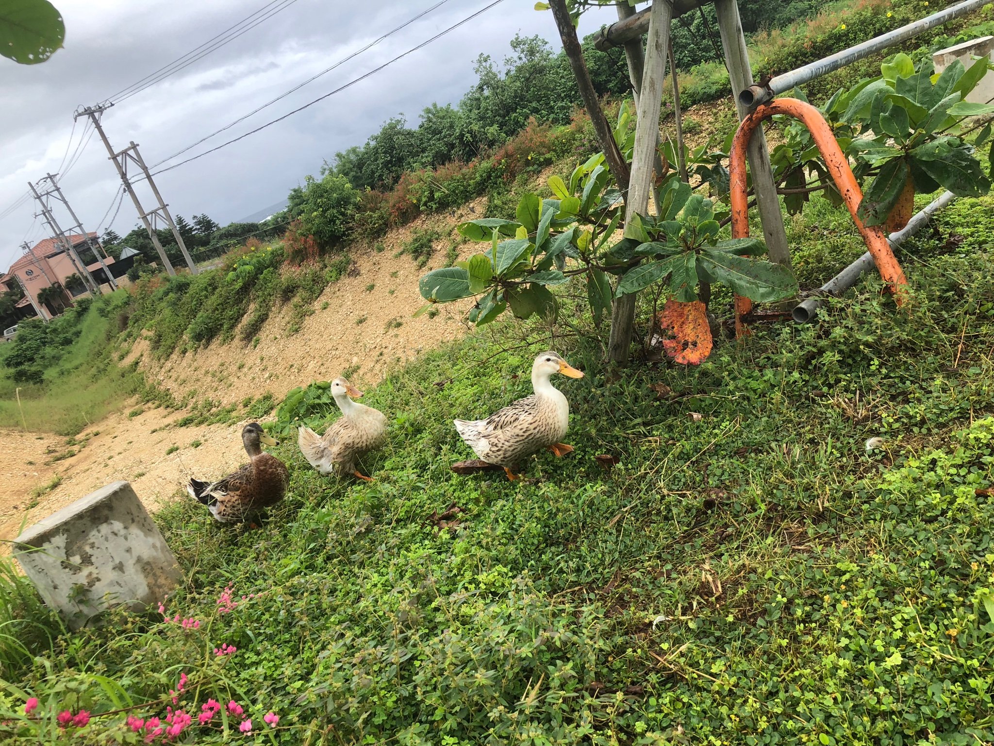 ishibas50484837's profile picture. 初めまして、ken です。友達からお付き合いできればいいです。最近本音で話をしてない、本音を自然と話せるそんな人を探してます。そして、居心地がいいと思ってもらえるようなそんな存在になれたら良いと思ってます。