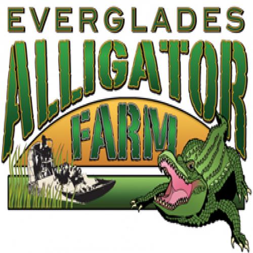 TheGatorFarm's profile picture. Everglades Alligator Farm is the oldest Alligator Farm in South Florida.  It houses over 3,000 Alligators and features Airboat Rides and Alligator Shows.