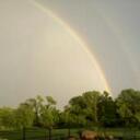 Tim Sheffield - @TimSheff - Twitter