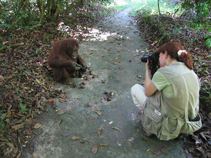 SharonGKimmel's profile picture. Photographer Philadelphia Inquirer. 
         Pulitzer Prize winner and @TempleUniv alum