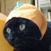 ピヨコ🐥 (@piyoko59cat) Twitter profile photo ピヨコ🐥 (@piyoko59cat) Twitter profile photo