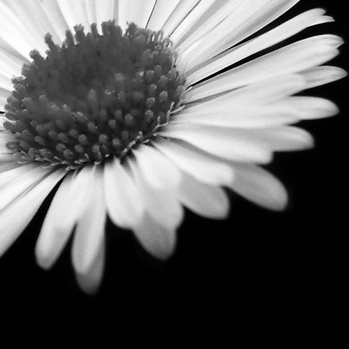 the beauty of mother nature is her ability to make the complex things appear simple.   ~ Louis E. Samuels