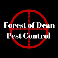 Forest Of Dean Pest Control(@FODPC) 's Twitter Profile Photo