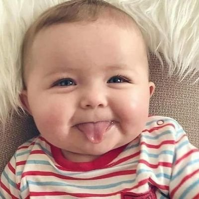 Amine25483477's profile picture. salam                            السلام عليكم