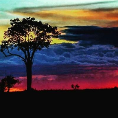 maribel16769741's profile picture. Orfebrería con amor.  El chocolate es pasión #convirtiendolo, transformandolo en una joya deliciosa#  ( el bombón)