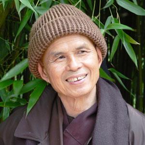 Entering the dharma stream and tweeting quotes from Ven. Thich Nhat Hanh's teachings. My deep gratitude for opening Universal Dharma Doors, Dear Thay.  __/|\__