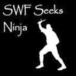 SWF seeks ninja for cuddling, laughs, long walks on the beach, and vanquishment of common enemies