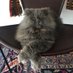 Minou (@minou2019) Twitter profile photo Minou (@minou2019) Twitter profile photo