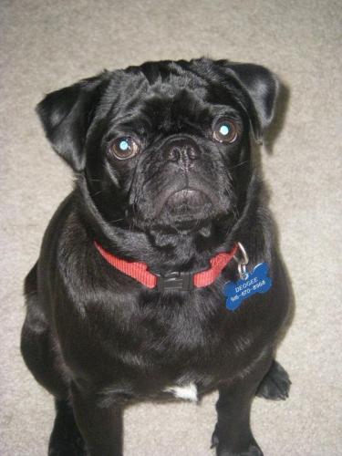 InsSuperStar's profile picture. Insurance Case Manager extraordinaire! 5+ years in the business!