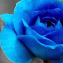 Tessie Moore - @Britblueyez - Twitter