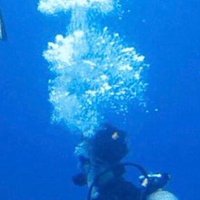 GeoTenerife Marine SciCamp (@marinescicamp) 's Twitter Profile