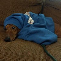 Jon Forbes (@ronaldingo_ow) 's Twitter Profile