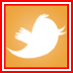 Nicole G (@nmgus) Twitter profile photo Nicole G (@nmgus) Twitter profile photo