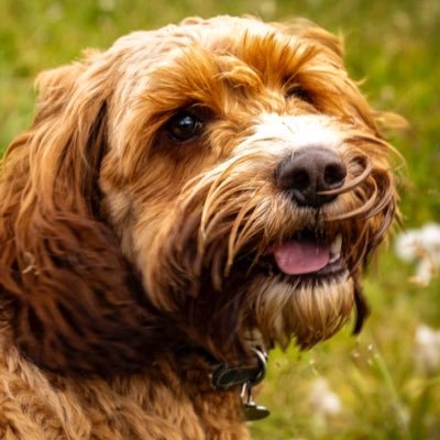 ann_macl's profile picture. Retired 🎉🏖️😎