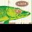 Spike_Pike's profile image