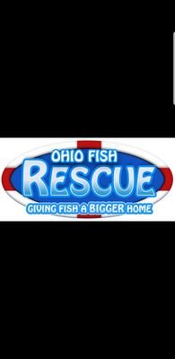 Ohio Fish Rescue Is a not for profit organization dedicated to saving, rehabilitating, and rehoming any aquatic animals and fish both fresh and saltwater.